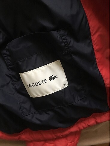 Lacoste Orjinal lacoste mont