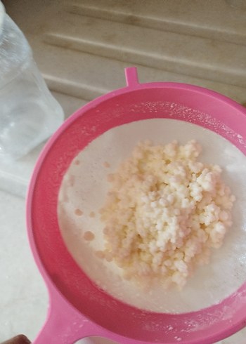 kefir Kafkas kefiri