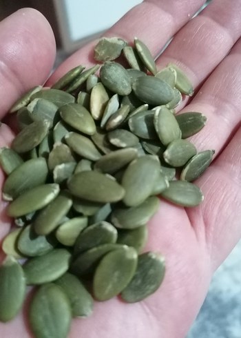 Yemelik Kabak Çekirdeği içi 500 gr - Görsel 4