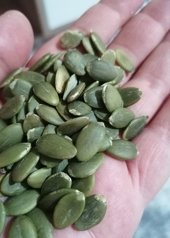 Yemelik Kabak Çekirdeği içi 500 gr - Görsel 2