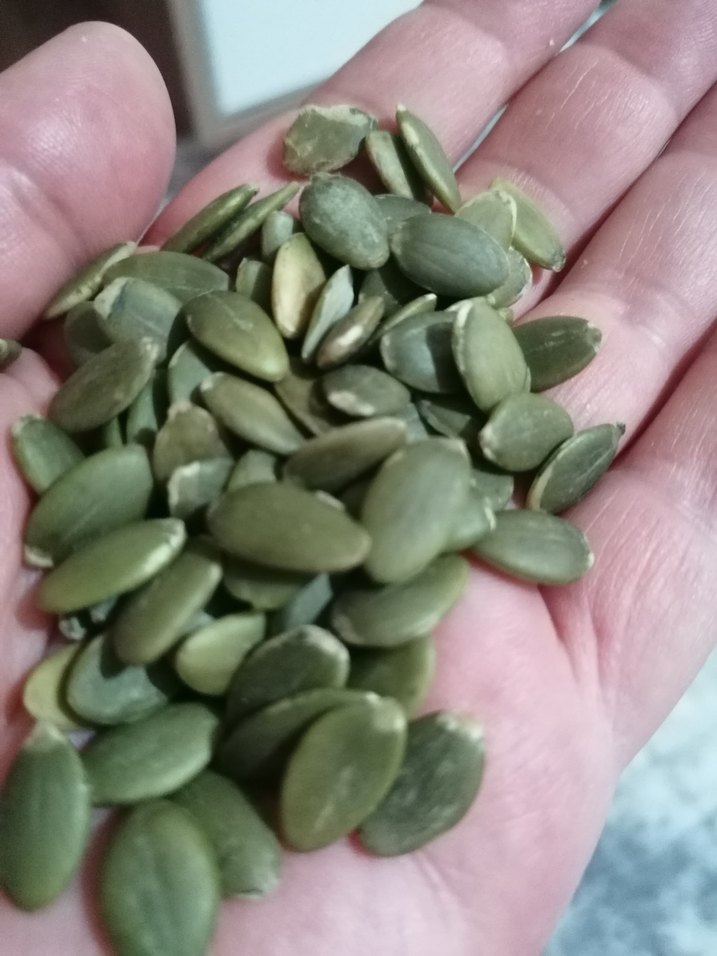 Yemelik Kabak Çekirdeği içi 500 gr - Görsel 4