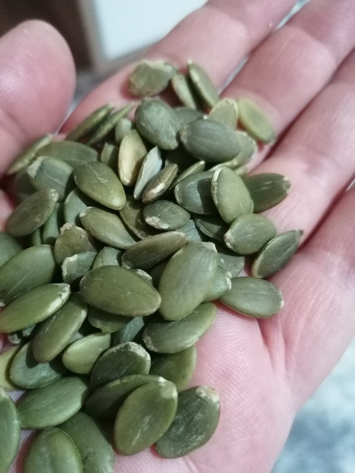 Yemelik Kabak Çekirdeği içi 500 gr - Görsel 2