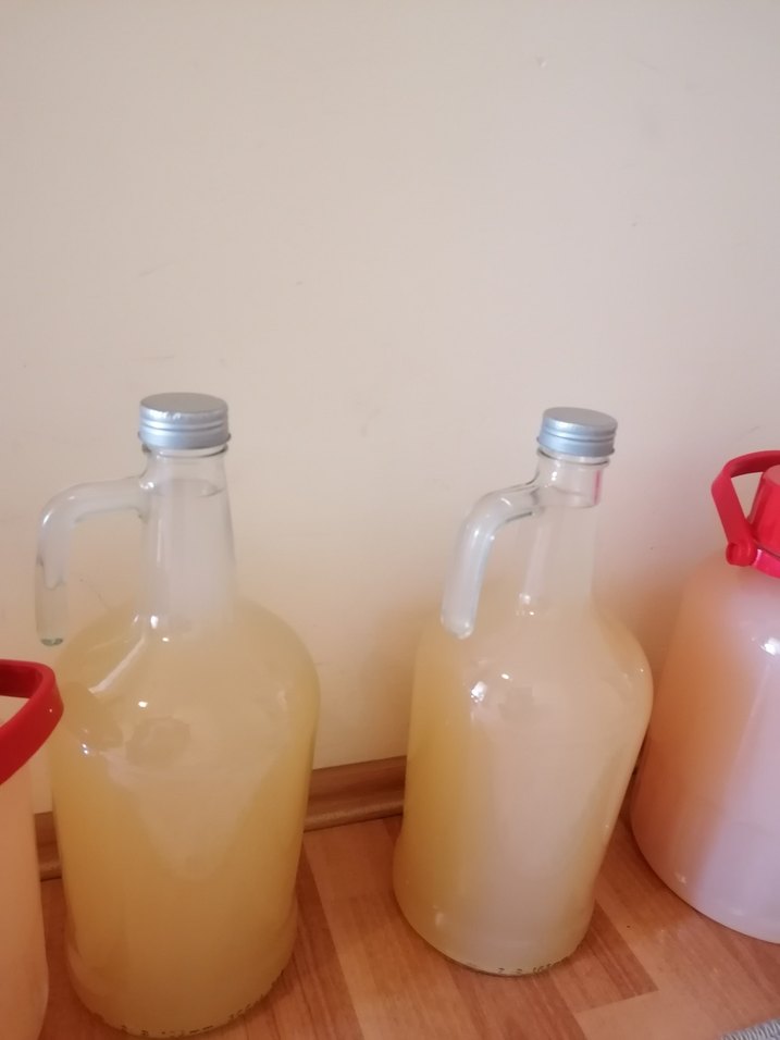 1 LİTRE DOĞAL ELMA SİRKESİ ORGANİK - Görsel 4