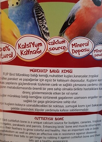 1 Kutu yani 8 adet Mürekkep Balığı kemiği