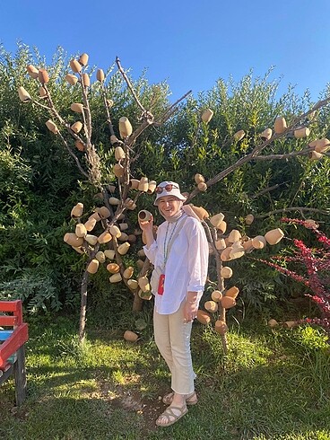 36 Beden ten rengi Renk Mango bej pantolon