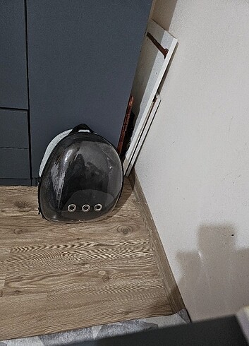Buyuk kedi taşıma çantası