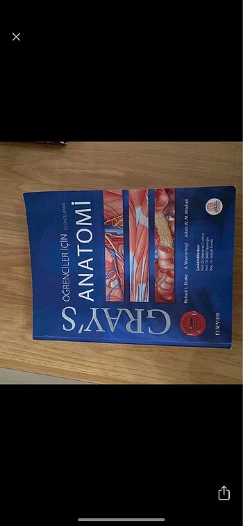 grays anatomi