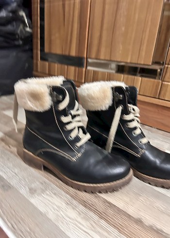 Kahverengi Deri Tüylü Bot - Görsel 2