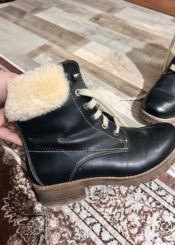 Kahverengi Deri Tüylü Bot - Görsel 6