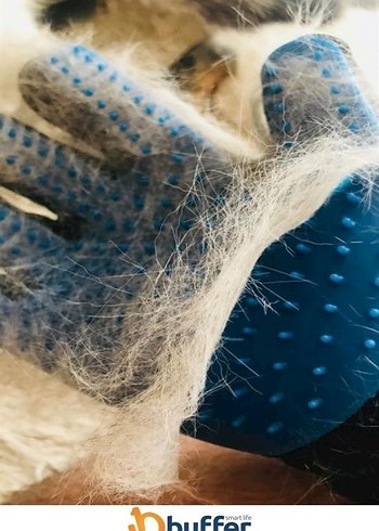 Kedi-Köpek Tüy Toplama Eldiveni - Görsel 5