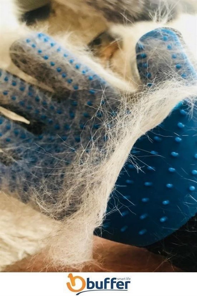 Kedi-Köpek Tüy Toplama Eldiveni - Görsel 5