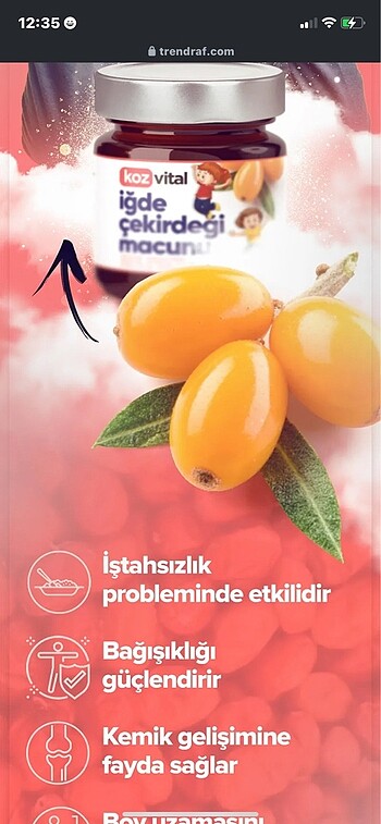Beden beyaz Renk Koz vital iğdeçekirdeği macunu