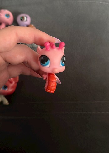 Lps miniş - Görsel 3