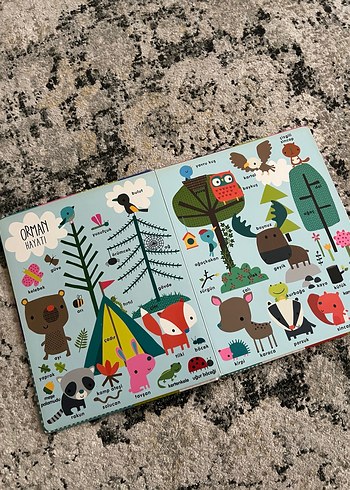 İlk Kelimelerim Çocuk Kitabı - Görsel 4