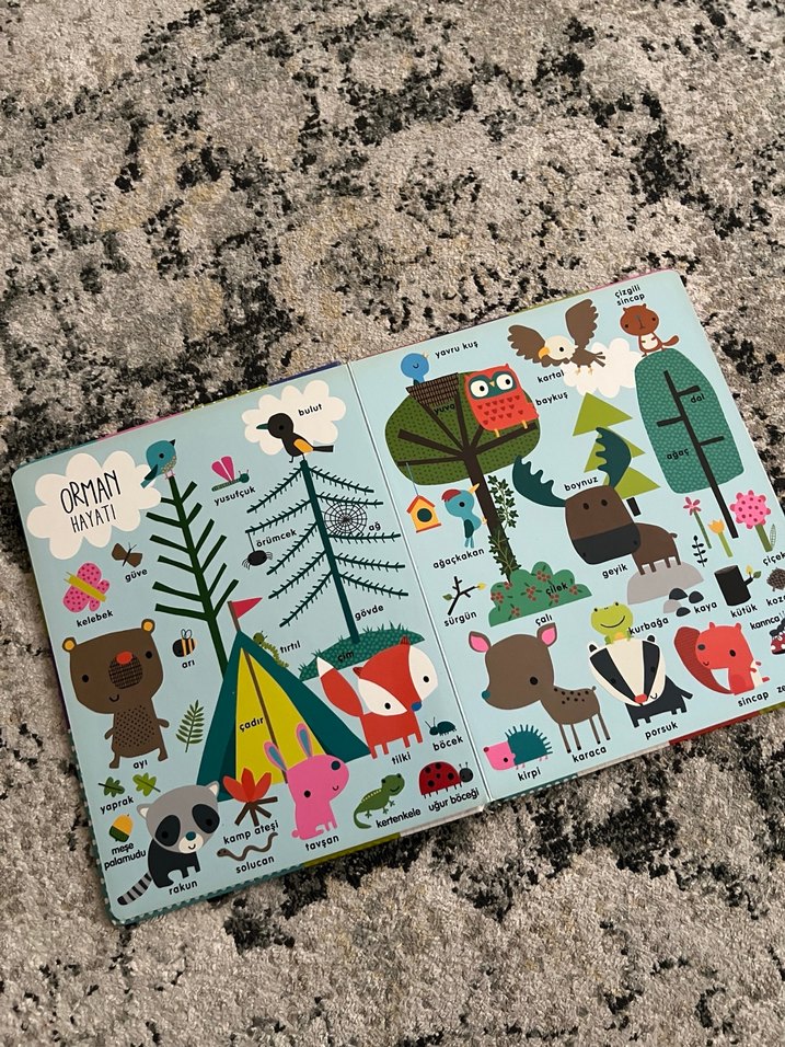 İlk Kelimelerim Çocuk Kitabı - Görsel 4