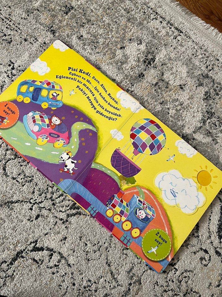 Pisi Kedi'nin Sayma Macerası - Görsel 2