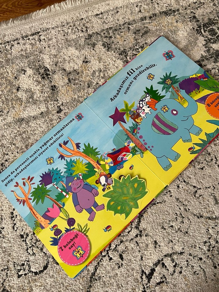 Pisi Kedi'nin Sayma Macerası - Görsel 5