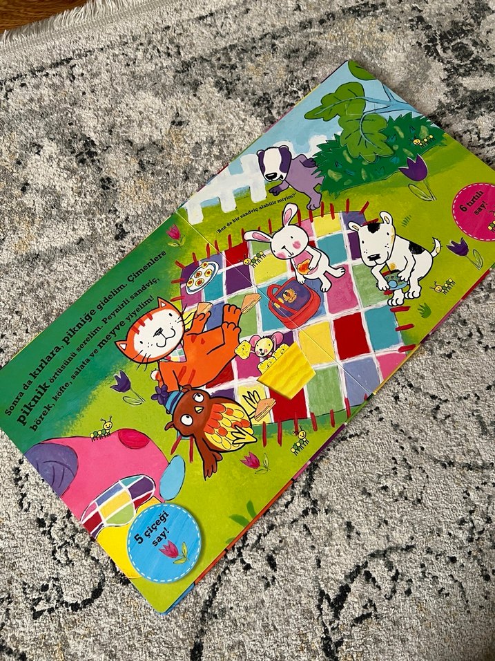 Pisi Kedi'nin Sayma Macerası - Görsel 4