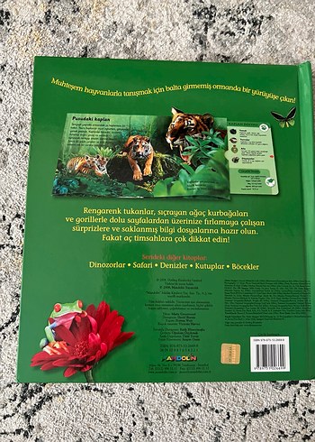 Ormanlar - 6 Muhteşem Üç Boyutlu Sahne - Görsel 2