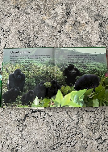 Ormanlar - 6 Muhteşem Üç Boyutlu Sahne - Görsel 4