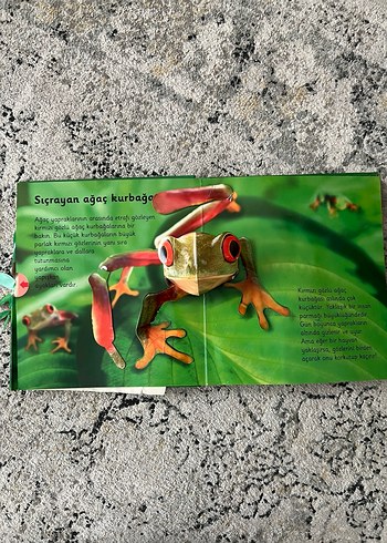 Ormanlar - 6 Muhteşem Üç Boyutlu Sahne - Görsel 3