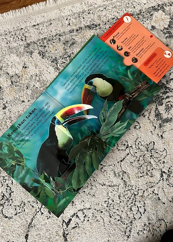 Ormanlar - 6 Muhteşem Üç Boyutlu Sahne - Görsel 9