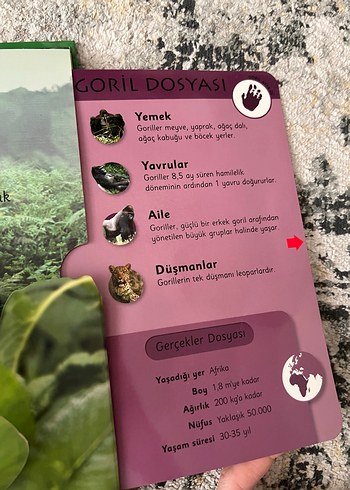 Ormanlar - 6 Muhteşem Üç Boyutlu Sahne - Görsel 7