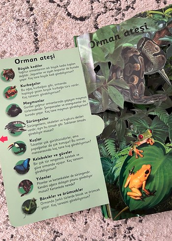 Ormanlar - 6 Muhteşem Üç Boyutlu Sahne - Görsel 11