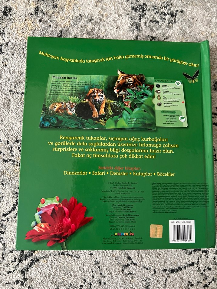 Ormanlar - 6 Muhteşem Üç Boyutlu Sahne - Görsel 2