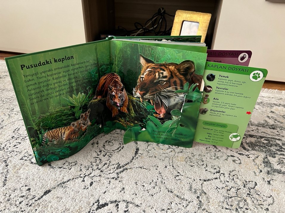 Ormanlar - 6 Muhteşem Üç Boyutlu Sahne - Görsel 5