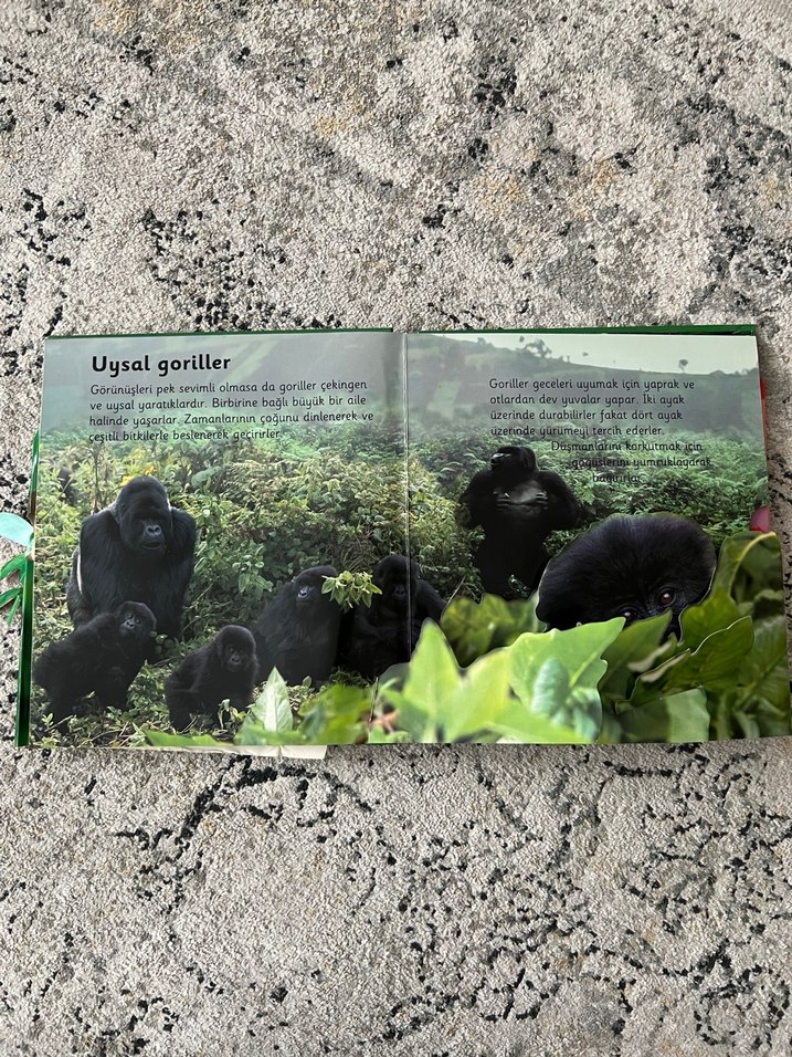 Ormanlar - 6 Muhteşem Üç Boyutlu Sahne - Görsel 4