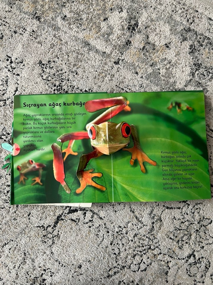 Ormanlar - 6 Muhteşem Üç Boyutlu Sahne - Görsel 3