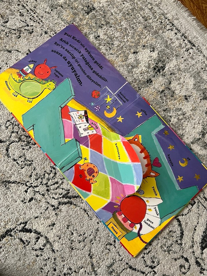 Pisi Kedi'nin İlk Kelimeleri Çocuk Kitabı - Görsel 4