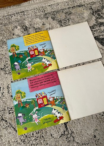 Pisi Kedi Macerası: Kayıp Kitap & Doğum Günü Hazinesi - Görsel 6