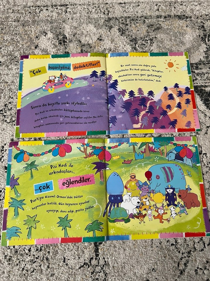 Pisi Kedi Macerası: Kayıp Kitap & Doğum Günü Hazinesi - Görsel 5