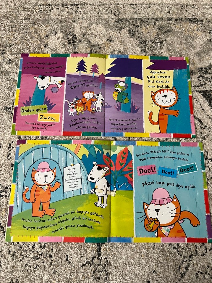 Pisi Kedi Macerası: Kayıp Kitap & Doğum Günü Hazinesi - Görsel 4