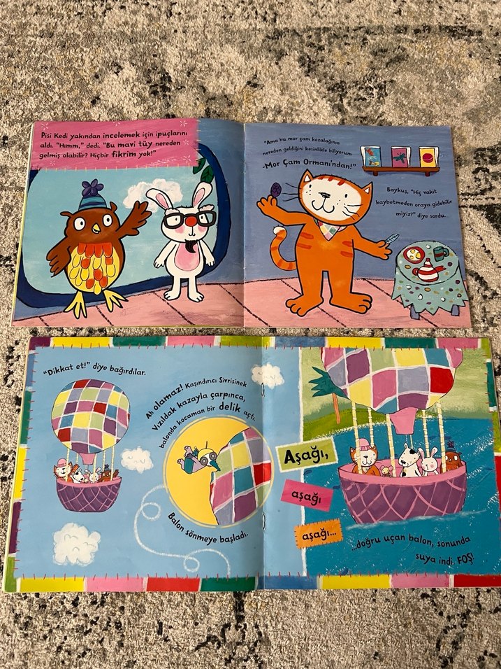 Pisi Kedi Macerası: Kayıp Kitap & Doğum Günü Hazinesi - Görsel 3