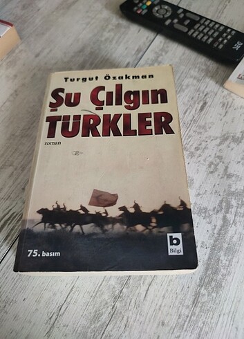 Şu çılgın Türkler 
