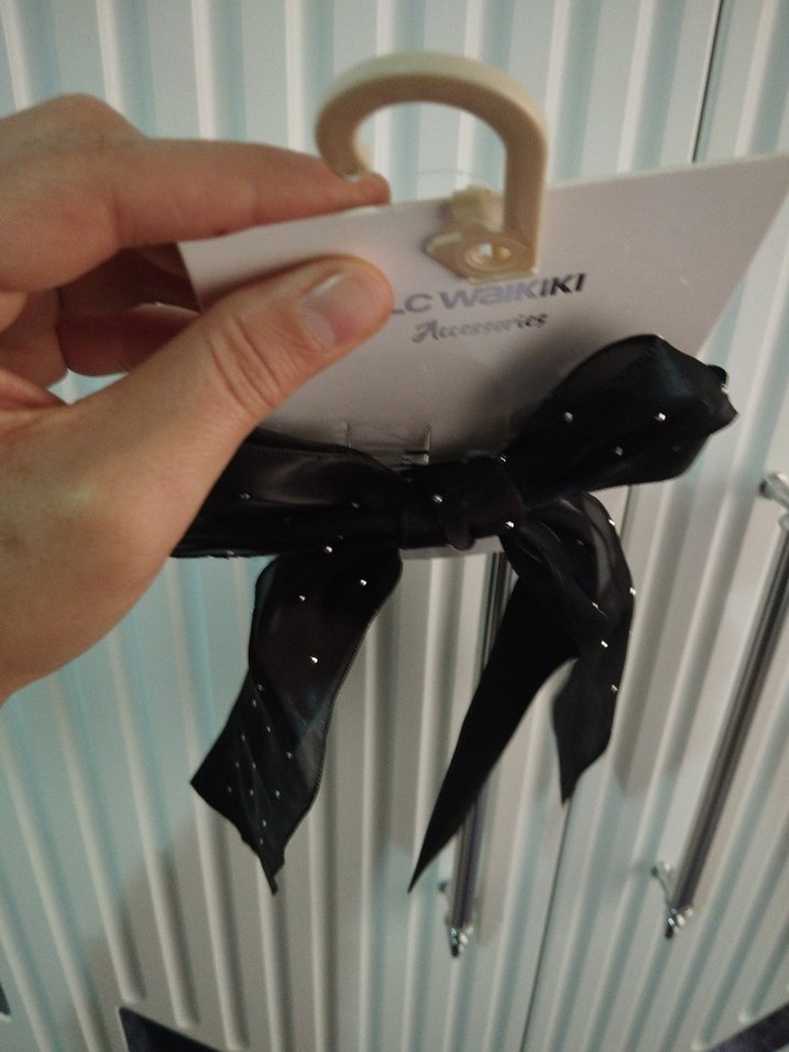 LC Waikiki Siyah  Fiyonk Saç Aksesuarı - Görsel 4