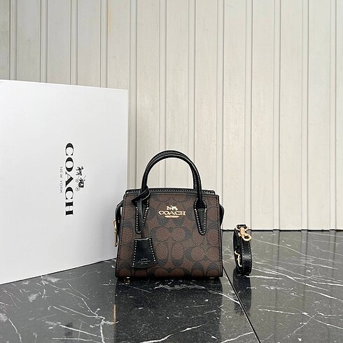 Coach Coach Nano Tote Bag