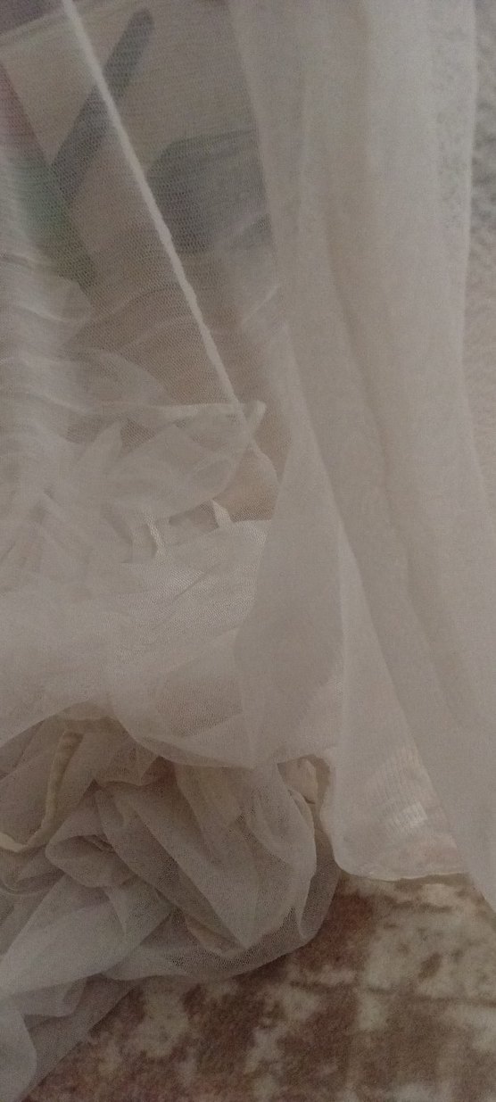 cibinlik - Görsel 2