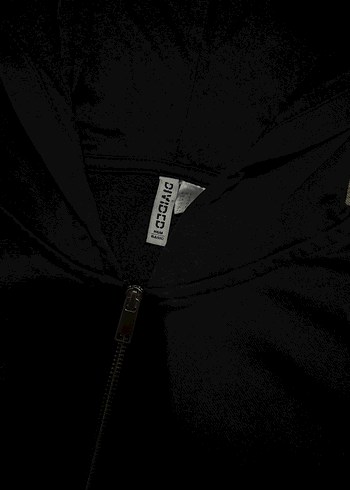 l Beden siyah Renk HM Divided Siyah Basic Fermuarlı Kapüşonlu Kadın Sweatshirt