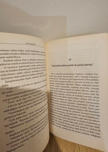 Parasızdım ve Katilimi Arıyordum - Derviş Şentekin - Görsel 2