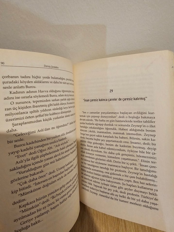 Parasızdım ve Katilimi Arıyordum - Derviş Şentekin - Görsel 2