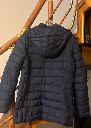 m Beden Orijinal u.s.polo assn Kadın Mont