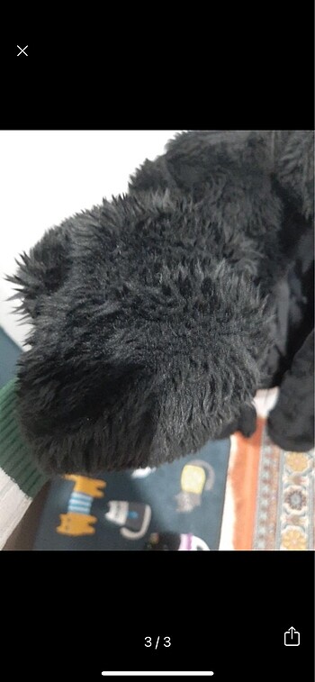 Siyah kürk - Görsel 3