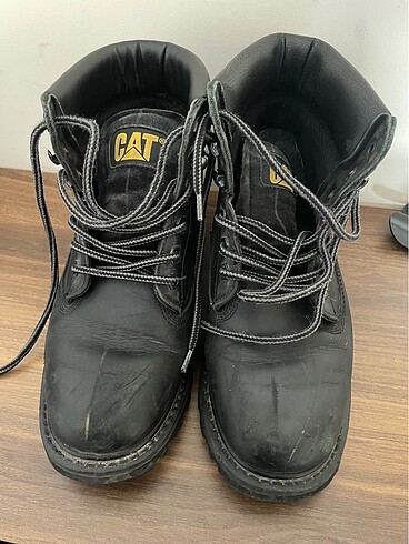 Cat Cat Bot
