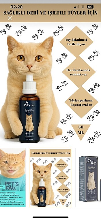 Beden Pets fav kediler için tüy sağlığı destekleyici multi vitaminn da