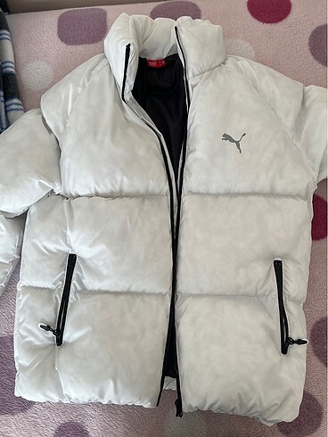 Puma mont