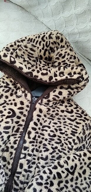 Leopar mont